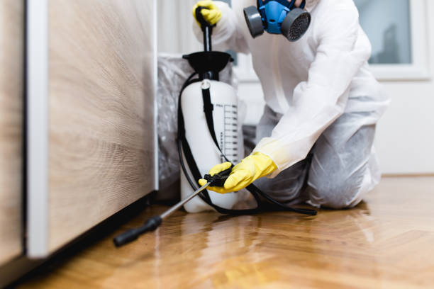 Reliable Freeport, IL Pest Control Solutions