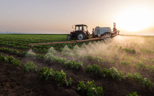 Best Commercial Pest Control Services  in Freeport, IL
