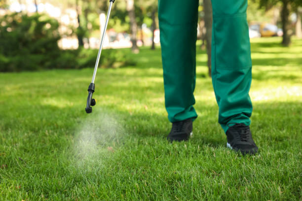 Best Flea Control Services  in Freeport, IL