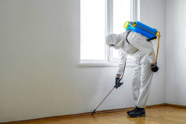 Best Exterminator Services  in Freeport, IL