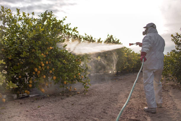 Best Affordable Pest Control Services  in Freeport, IL