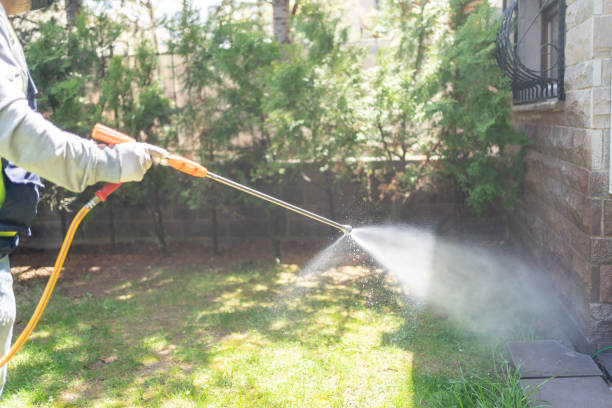 Best Pest Prevention Services  in Freeport, IL