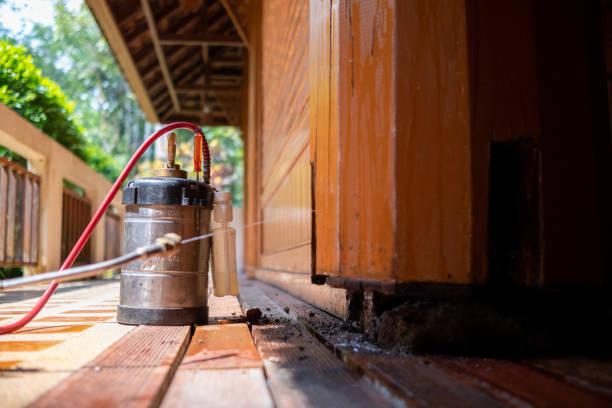Best Best Pest Control Companies  in Freeport, IL