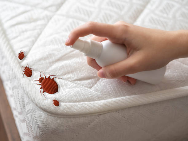 Best Pest Removal Services  in Freeport, IL