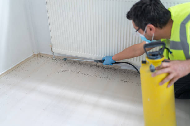 Trusted Freeport, IL Pest Control Experts
